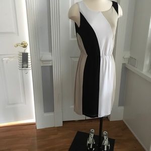 Calvin Klein Multicolored Women Dress size 8 M
